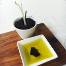 올리바OLIVA