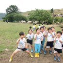 YMCA스포츠단어린이집 이미지