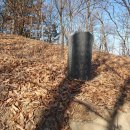 용산-154 Daum카페