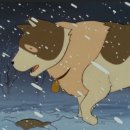 파트라슈 이미지