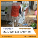 하남 방역업체 먼지다듬이 퇴치 후기