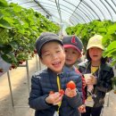 남성초교 병설 유치원 이미지