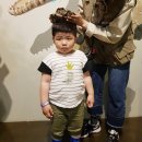 세종 실내동물원 미니멀주 세종점