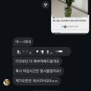 제주스냅 부케 리브레플라워 6월의 장미 웨딩촬영 솔직후기