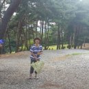 용봉산캠핑장 이미지