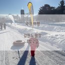 5살 어린이와 1박 2일 평창, 휘닉스 파크 눈썰매, 평창자연휴양림, 네덜란드 꿩만두까지 눈 덮인 1월의...