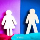 '정부의 여성 차별 개선 노력에 2030남성 절반 "반대"... 이미지