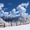 그날의 일기 [잘난 사람 영상글] 이미지