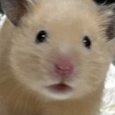 복방글 | [7月②] 행복은 늘 우리 가까이