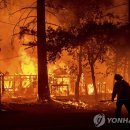 (주)캘리포니아폴스 연합뉴스