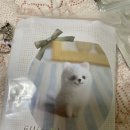 니들펠트 | 양모펠트 니들펠트 DIY 고양이 인형 만든 후기