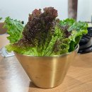 골목안집 - 사하구 낙동대로485번길 13-1 | [서울/종로] 안국역 맛집 인사동 안집 방문후기