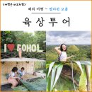 보홀 육상투어 추천 초콜릿힐 코스 시간 놀다보홀 후기