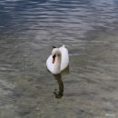 NR-15[오산로]-하-67 | 오스트리아 할슈타트 날씨는 흐리지만 행복했던 자전거 여행(ft. 할슈타트 전망대)