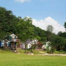 자일랜드 이미지