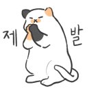 요거샌드 이미지