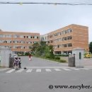 서산석림초등학교 이미지