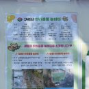 인창중앙공원(솟을마당) | 서울근교 구리 인창동 반려동물놀이터 애견운동장 강아지와 가볼만한곳