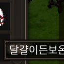 정 머리방 이미지