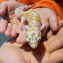 (주)아라마루 이미지