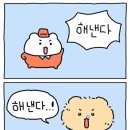 단풍도넛