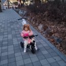 꿀벌약국 이미지