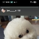 로또가 예쁘게 포즈을 준수님인스타 이미지