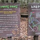 서귀포 치유의 숲 노고록 숲길 네이버블로그