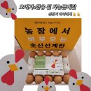 오메가3와 DHA가 들어있어 성장기 아이에게 좋은 1+등급 오메가 특란 아이와 같이 먹어본 솔직 후기