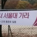 센스쟁이 이미지