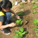 소하초등학교 이미지