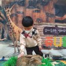 진해신항초등학교 이미지