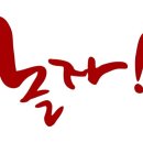 낭만고양이 이미지