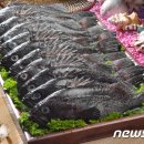 섬 우럭축제 이미지