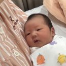 더 아이리스 산후조리원 이미지