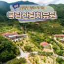 경북 영주 국립산림치유원 건강출산 행복가정 캠프 후기(feat. 숲 태교여행)