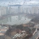 삼성종합동물병원 | 강북삼성병원 종합건진센터 후기(주차, 문진표, 건강검진 후기)