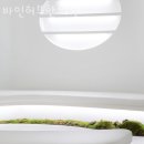 바인허브한의원 이미지