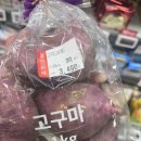 뉴민스 이미지