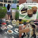 롯데쇼핑(주) 프리미엄아울렛 의왕점 | [의왕] 롯데프리미엄아울렛 카페 웁스어데이지 | 반려동물동반 가든뷰 디저트카페