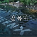 성빈시스템 | 공포영화 살목지 줄거리 & 결말 완벽 정리 — 저수지 괴담의 충격적인 진실과 반전 엔딩
