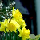 권공인중개사사무소 이미지