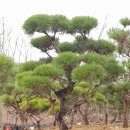 유 농원 이미지