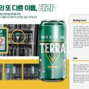 테라애드