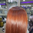 염색나라 이미지