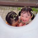 프리지 | 호호에미 섬유유연제 프리지어향 후기, 대용량 유아 아기섬유유연제 추천