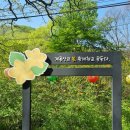 계룡산(갑사-연천봉-관음봉-자연성릉-삼불봉-남매탑-동학사)24.4.14.일 이미지