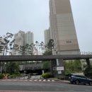 피트니스라온울산