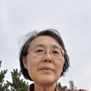 실미농장 네이버블로그