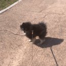 생활맥주 부천로데오점 이미지